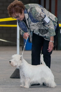 1st Limit Bitch - Karamynd Press The Button