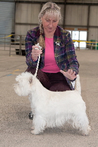 1st Open Bitch - Dalskairth Glamis Girl