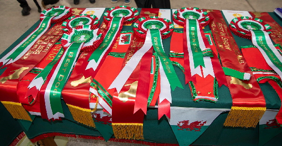 559161968_1229678162533153_8700239613775752443_n