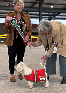 BPIS-Ashgate Falkirk
